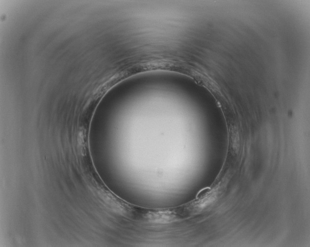 X0000069410378200605192310