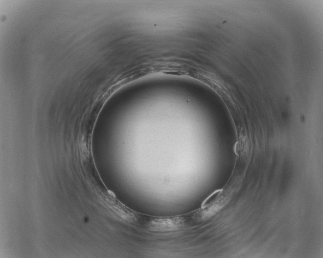 X0000069410381200605192310