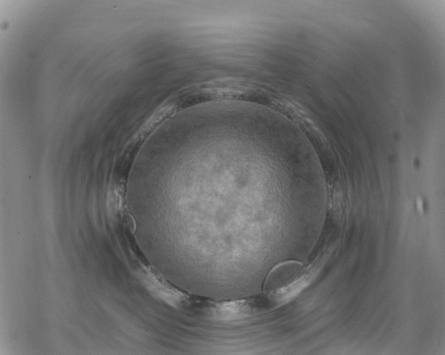 X0000069410382200605192310