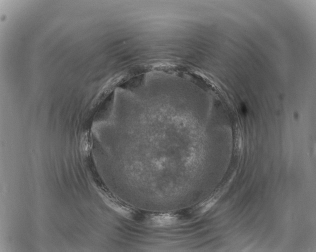 X0000069410383200605192310