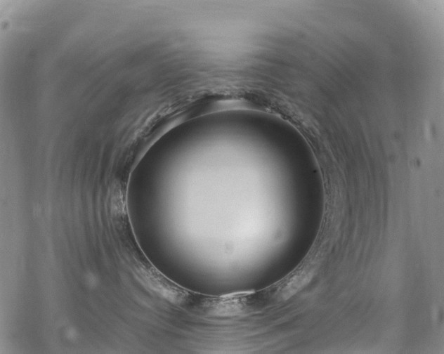 X0000069410384200605192310