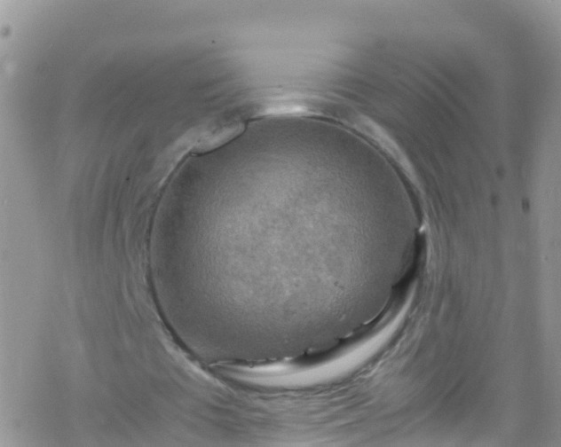 X0000069410385200605192309