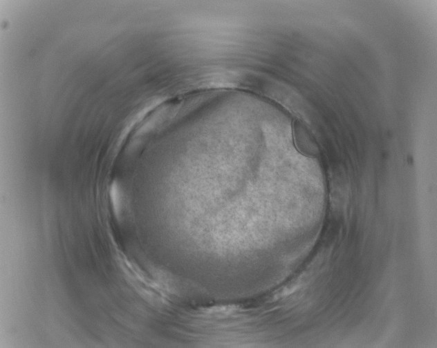 X0000069410386200605192309