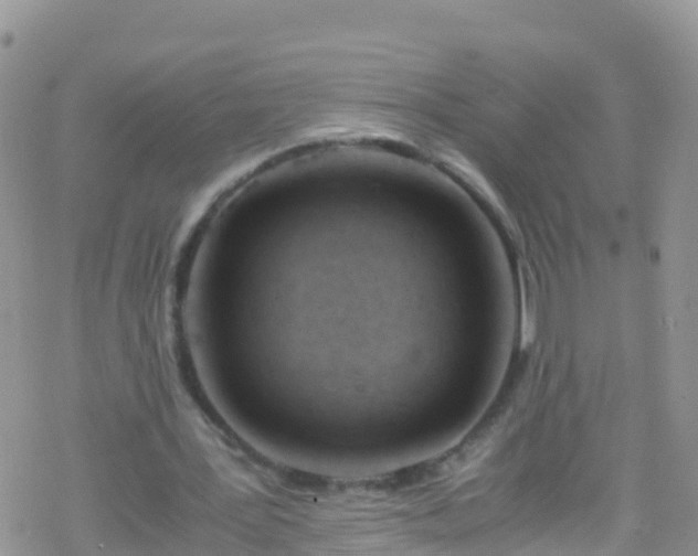 X0000069410387200605192309