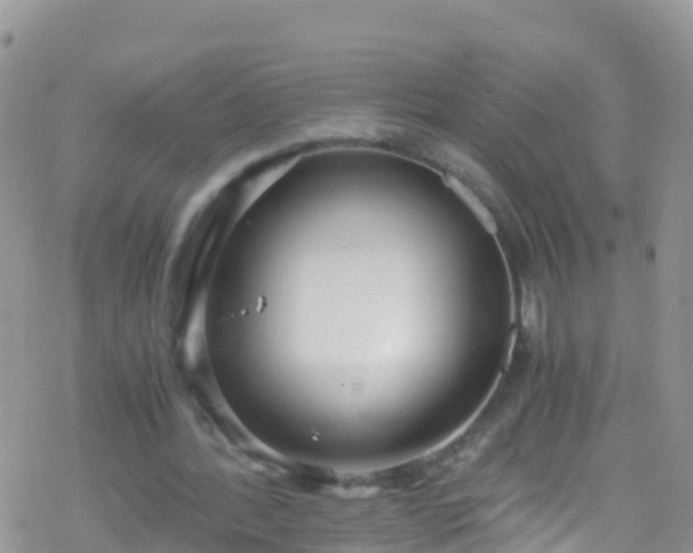 X0000069410388200605192309