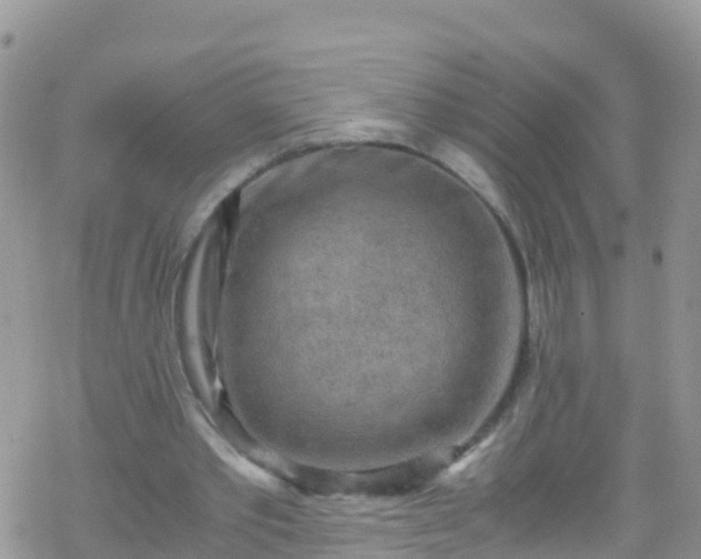 X0000069410389200605192309