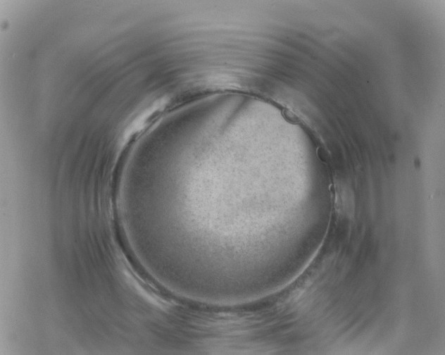 X0000069410390200605192309