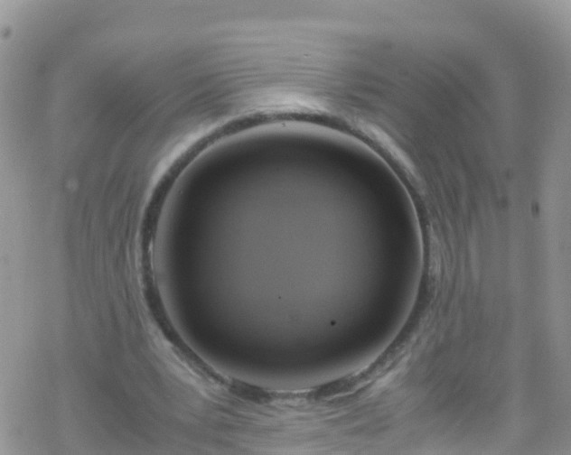 X0000069410391200605192309