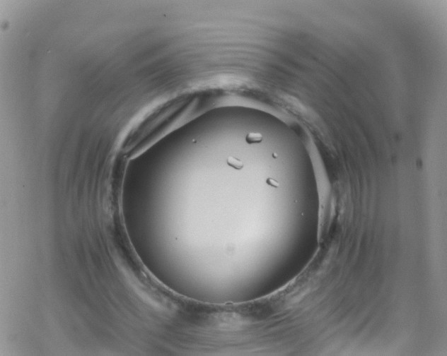 X0000069410392200605192309