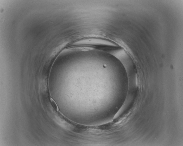 X0000069410393200605192309