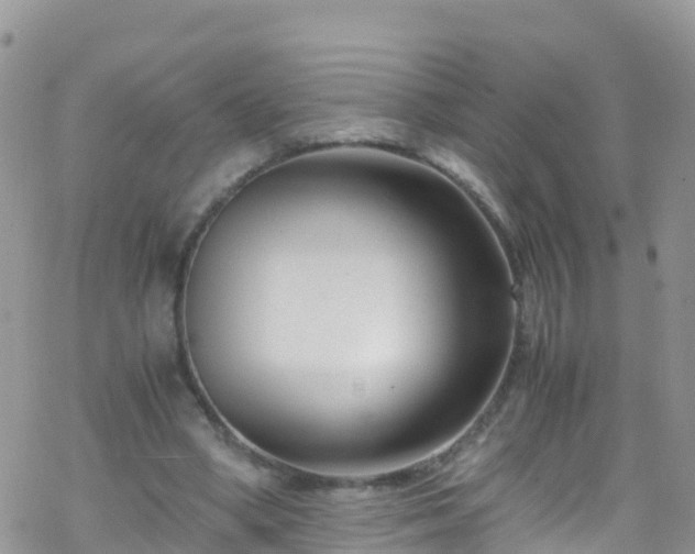 X0000069410394200605192309