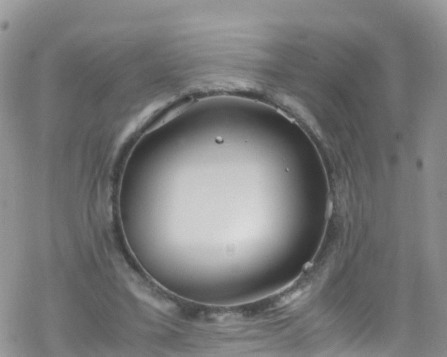 X0000069410395200605192309