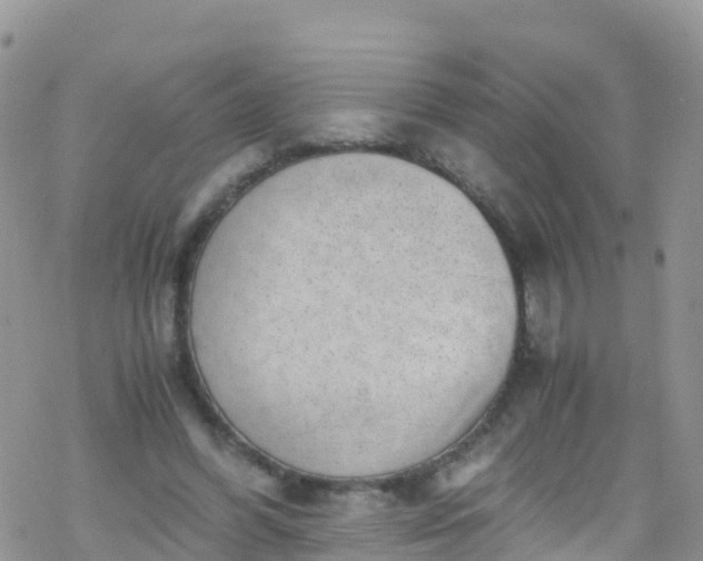 X0000069410396200605192309