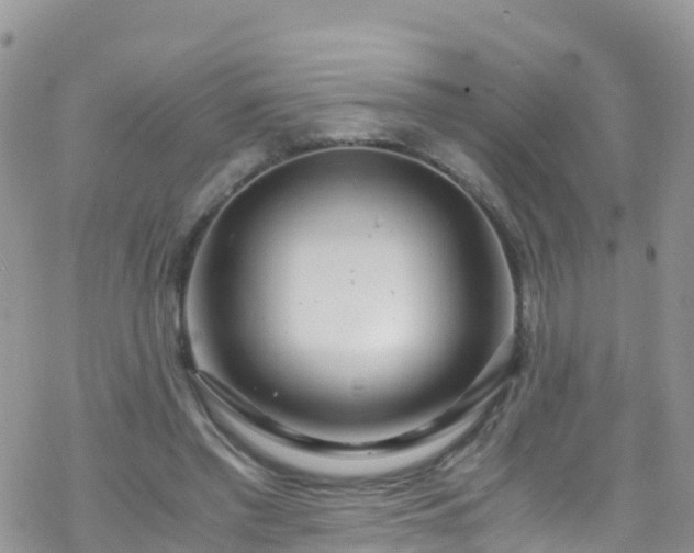 X0000069410397200605192309