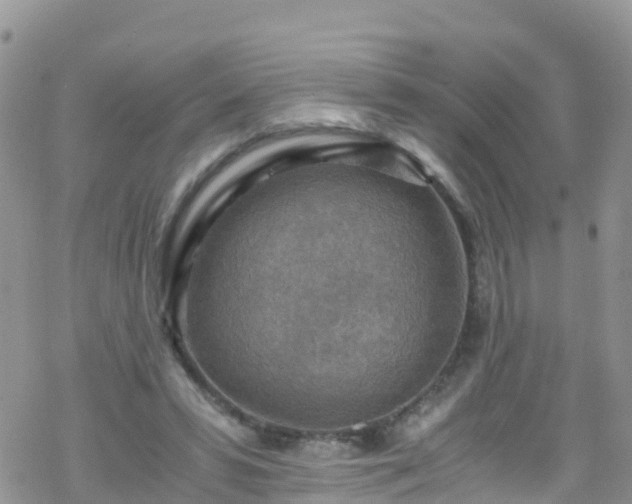 X0000069410399200605192309