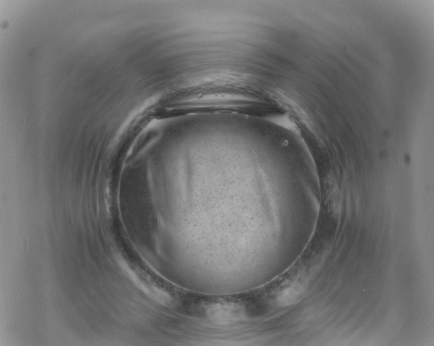 X0000069410400200605192309