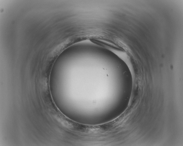 X0000069410401200605192309