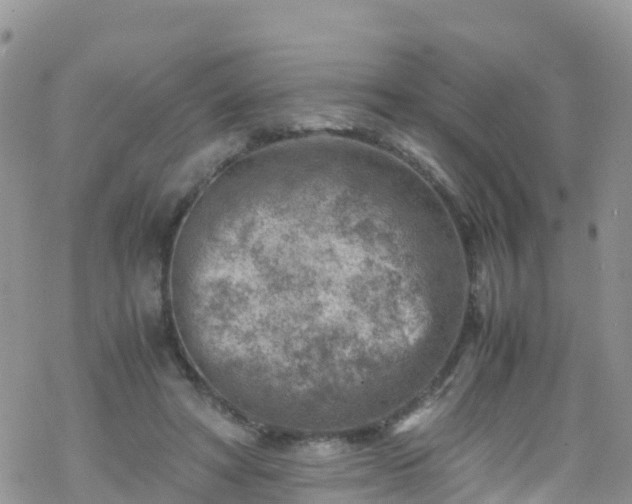 X0000069410402200605192309