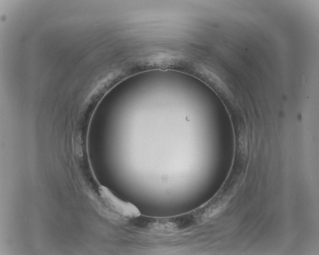 X0000069410403200605192309