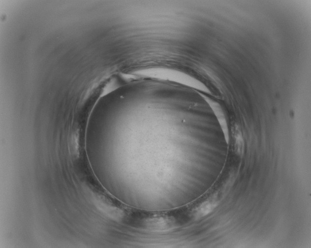 X0000069410404200605192309