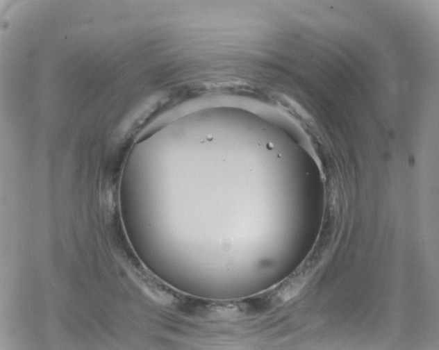 X0000069410405200605192309