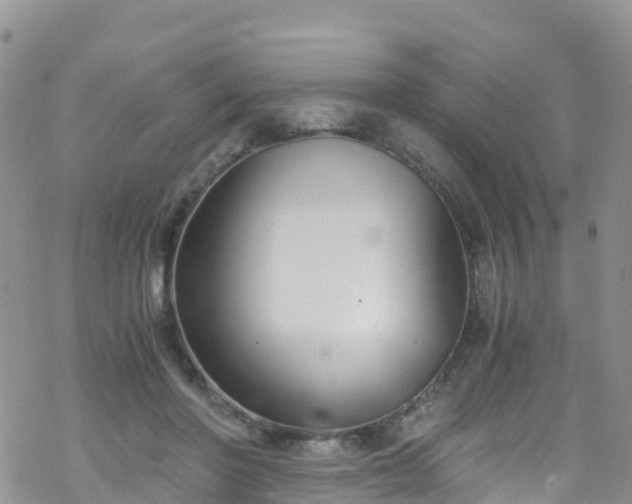 X0000069410406200605192309