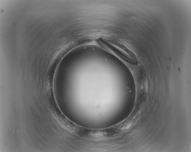 X0000069410407200605192309