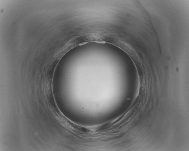 X0000069410409200605192309