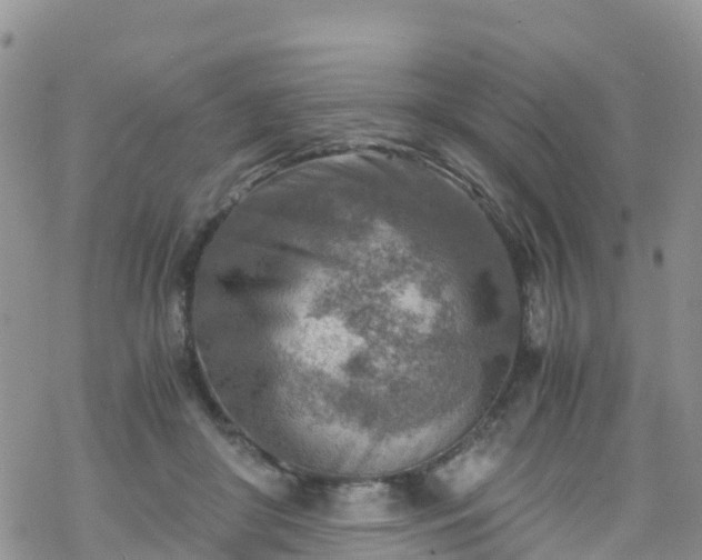 X0000069410410200605192309