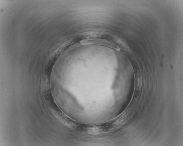 X0000069410411200605192309