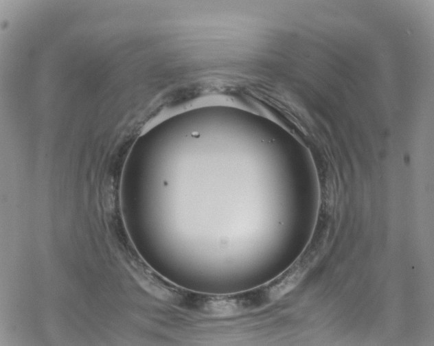 X0000069410413200605192309