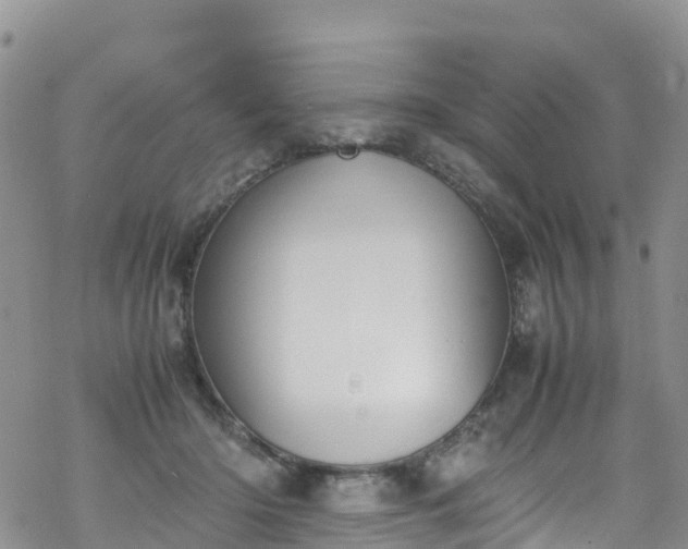 X0000069410414200605192309