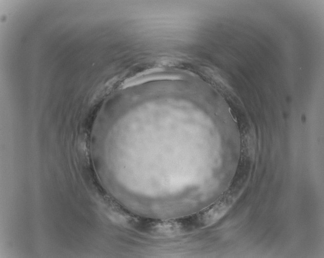 X0000069410415200605192309