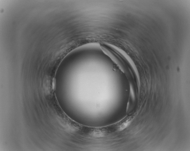 X0000069410416200605192309