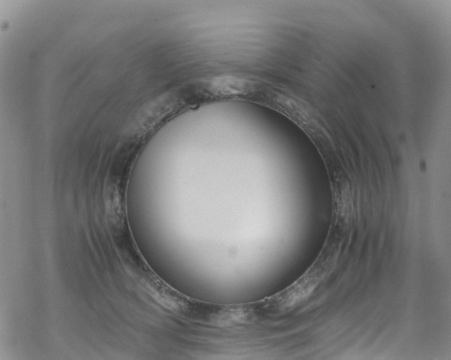 X0000069410418200605192309