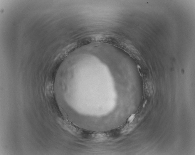 X0000069410419200605192309