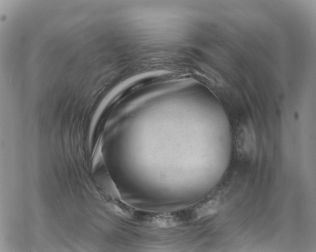 X0000069410420200605192309