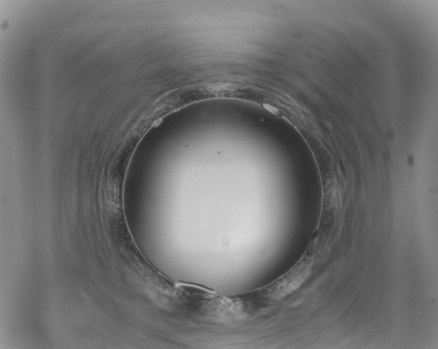 X0000069410421200605192309