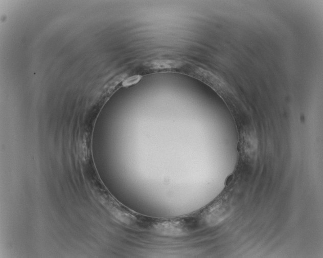 X0000069410422200605192309