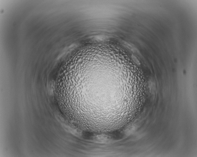 X0000069410423200605192309