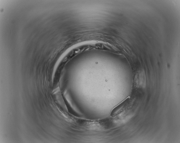 X0000069410424200605192309