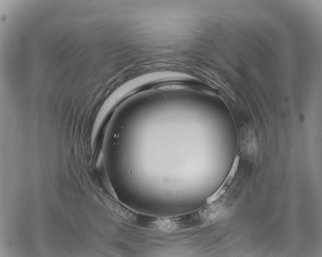 X0000069410425200605192309