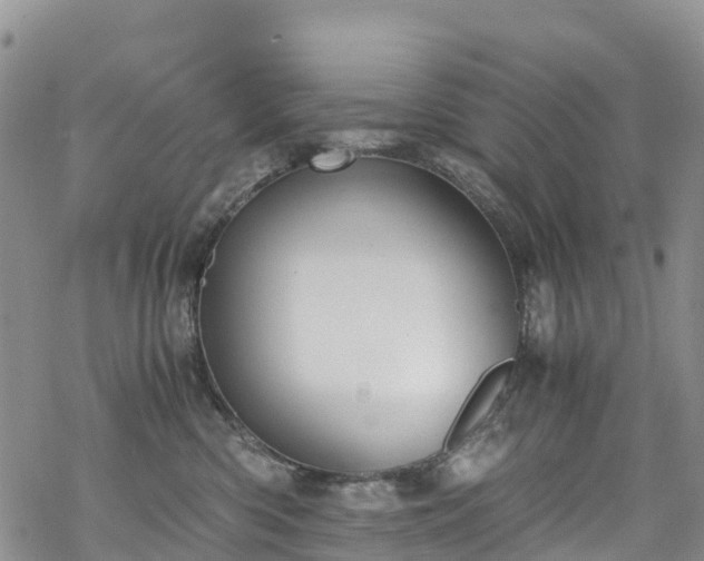 X0000069410426200605192309