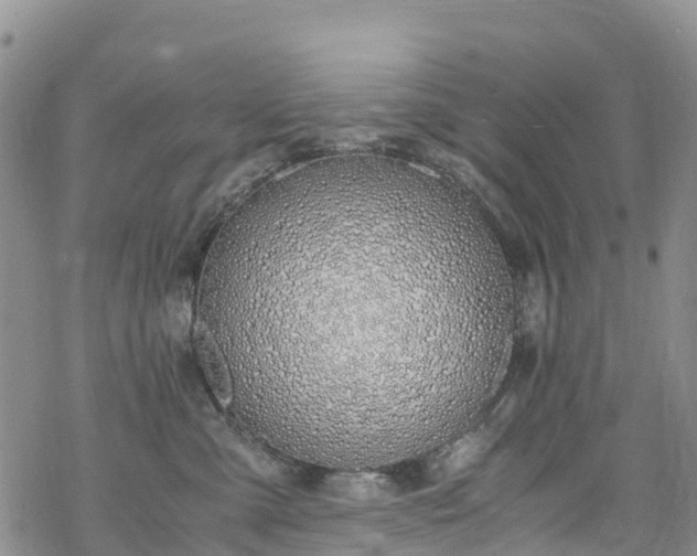 X0000069410427200605192308