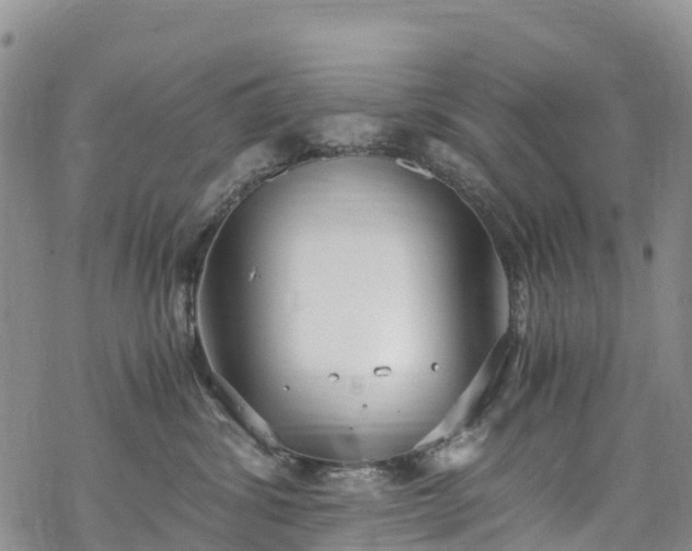 X0000069410428200605192308