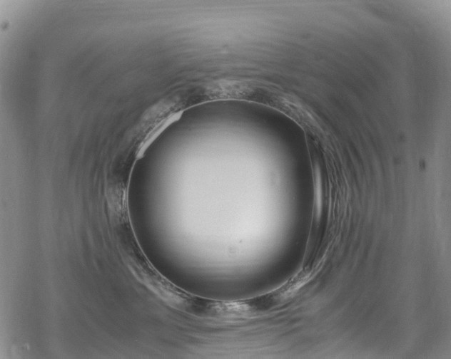 X0000069410429200605192308