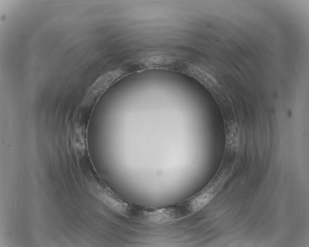 X0000069410430200605192308