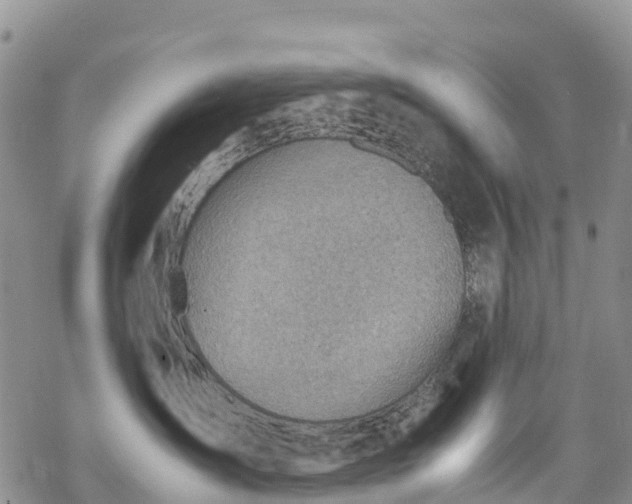 X0000069410431200605192308