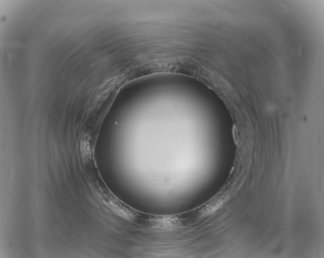 X0000069410432200605192308