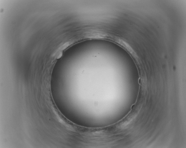 X0000069410433200605192308